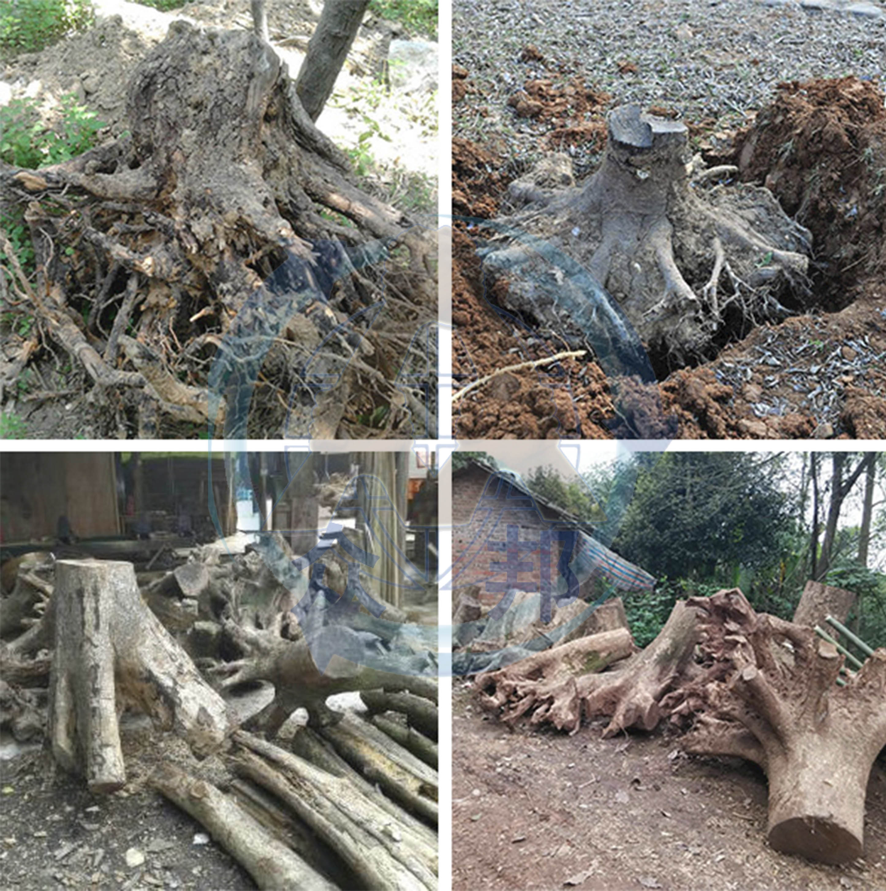 圓盤式樹根破碎機破碎原料 圓盤式樹根破碎機破碎原料