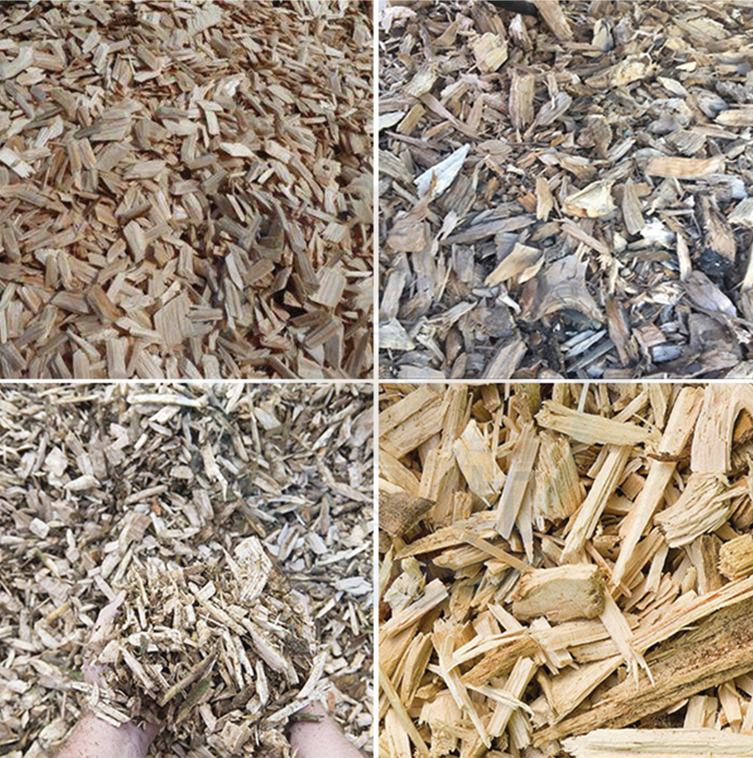 圓盤式樹根破碎機破碎效果 圓盤式樹根破碎機破碎效果